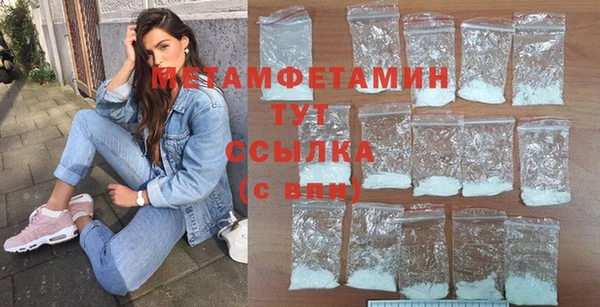 гидра Няндома