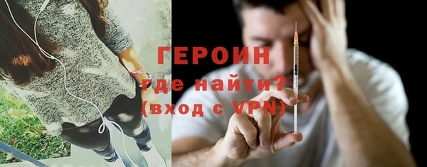 гидра Няндома
