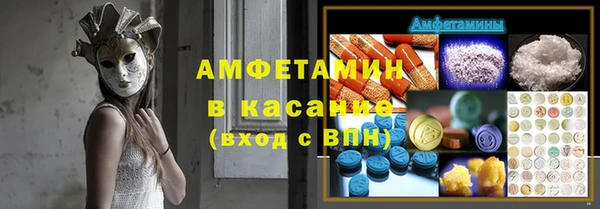 гидра Няндома