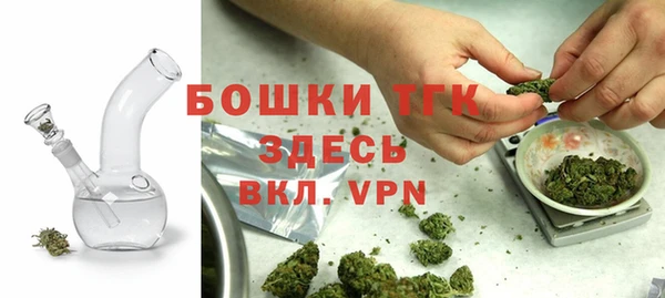 гидра Няндома
