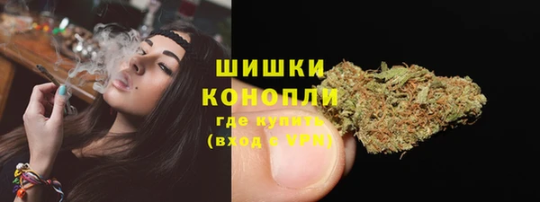 индика Гусь-Хрустальный