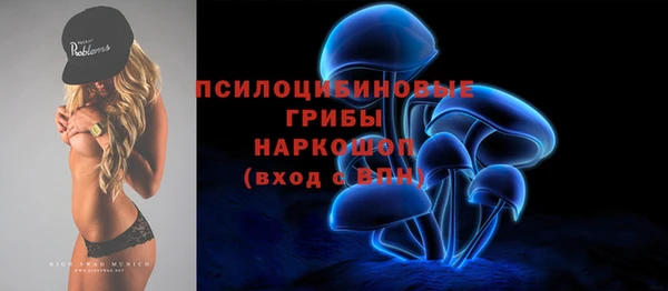 гидра Няндома