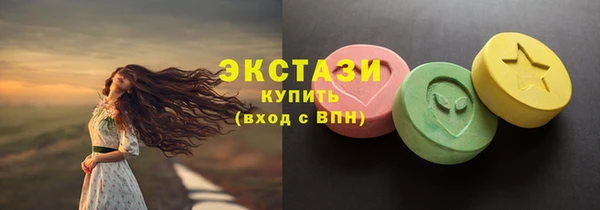 гидра Няндома