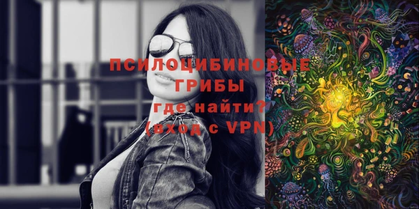 ГАЛЛЮЦИНОГЕННЫЕ ГРИБЫ Осташков