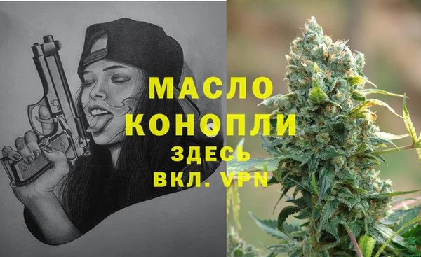 гидра Няндома