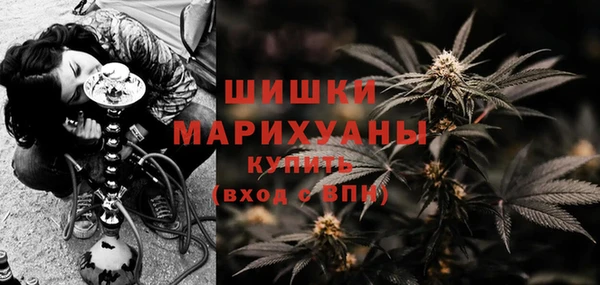 гидра Няндома