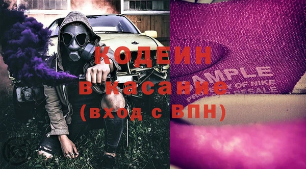 гидра Няндома
