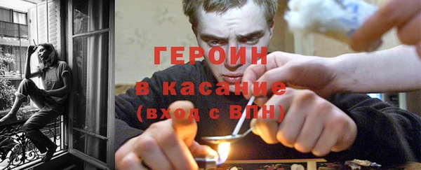 гидра Няндома