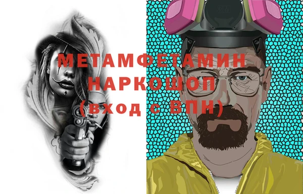 гидра Няндома