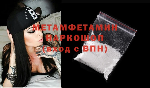 гидра Няндома