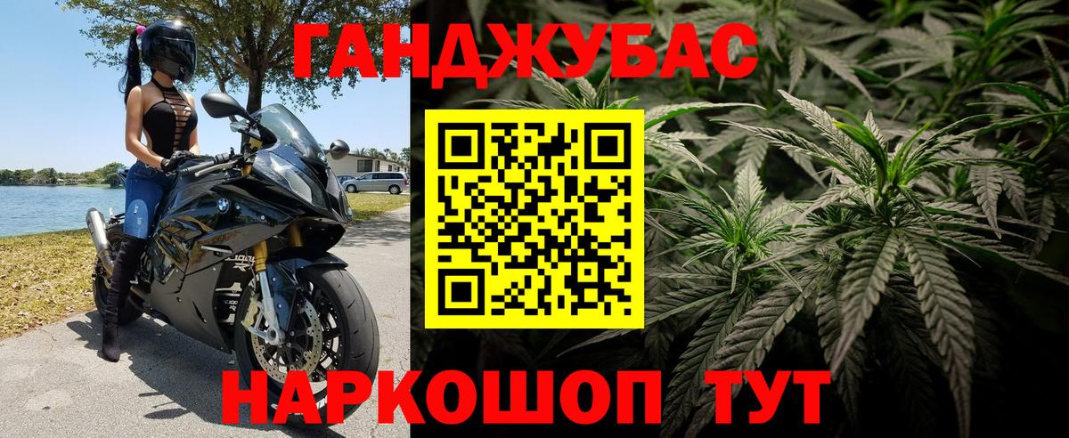 Каннабис планчик Лянтор